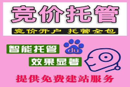 竞价端口开户的五大成功案例揭秘